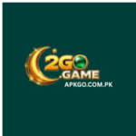 2GO GAME APK