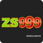 ZS999 Game