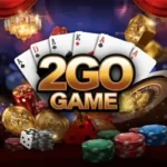 2Go Game