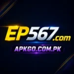 EP567 Game