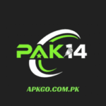Pak14 Game