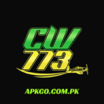 CW773 Game